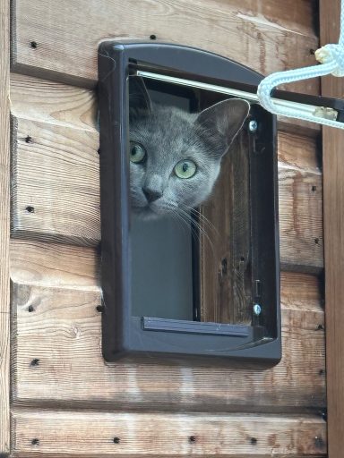 Peek a Boo