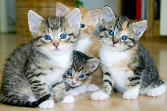 Cuties