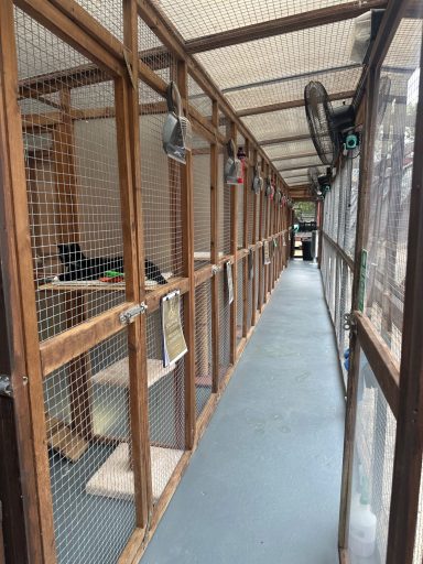 Inner Cattery Corridor