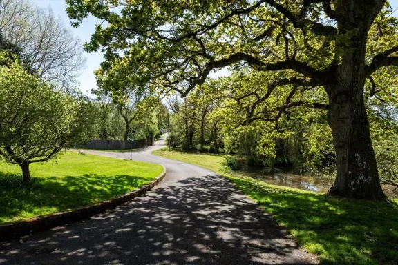 Driveway to Cattery