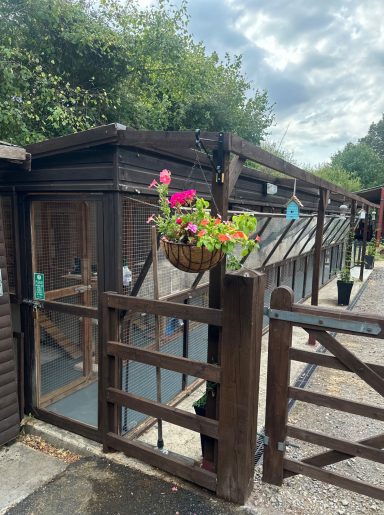 10 Suite Cattery Block