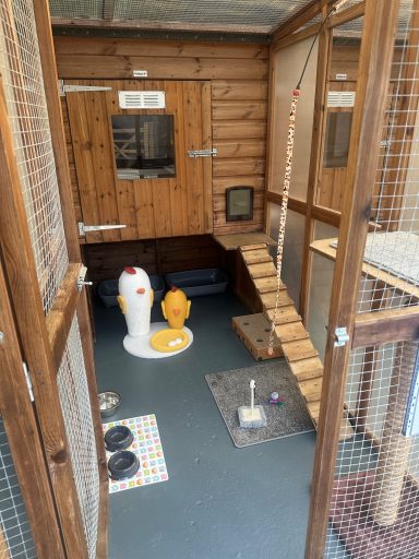 Standard Suite set up, suitable for 2 cats from the same household