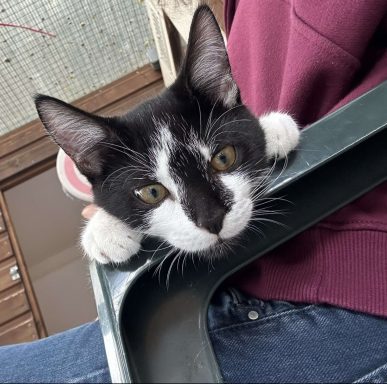 Lap Time